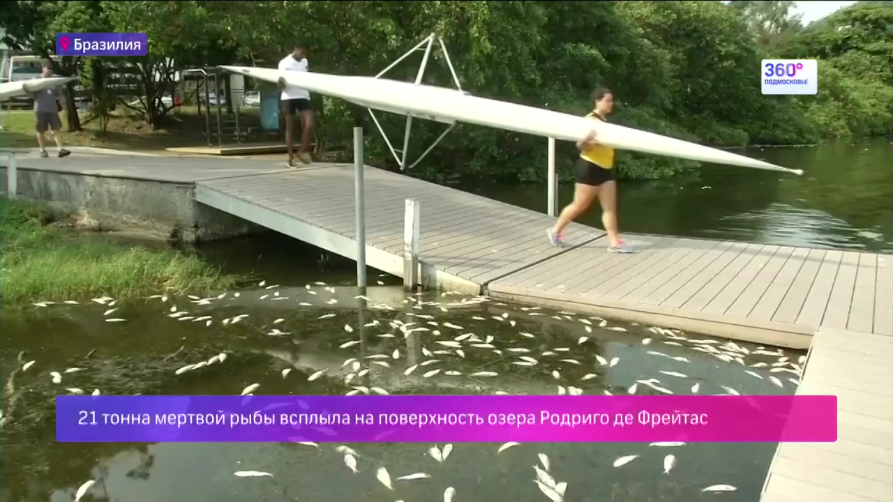 Раскраски рио де жанейро Раскраски рио де жанейро