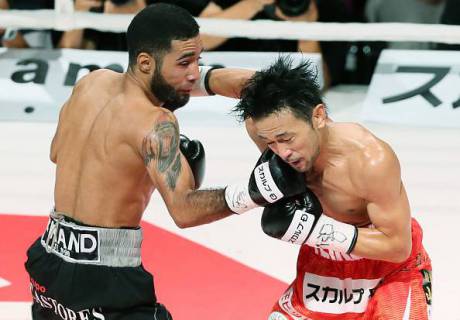 Руководство WBC инициирует тщательное расследование по этому делу.